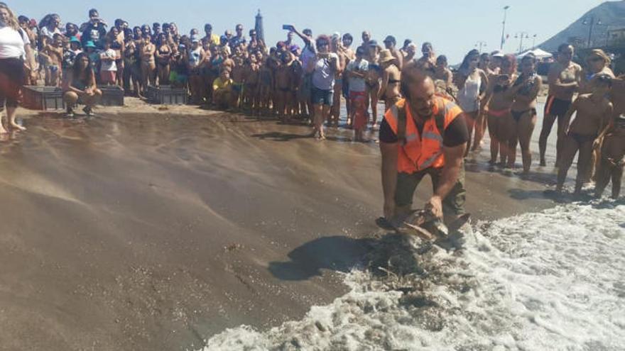 Un instante de la suelta de tortugas en Bajamar.