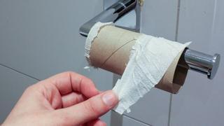 Adiós al papel higiénico: este es el sustituto que revoluciona la forma de ir al baño