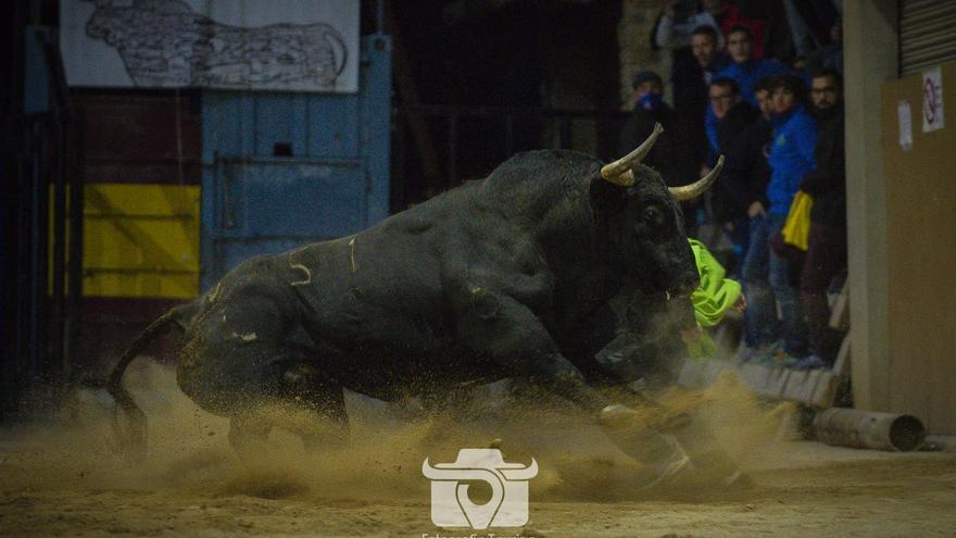 Castellón lidera la lista de  los mejores toros exhibidos en la calle del 2021