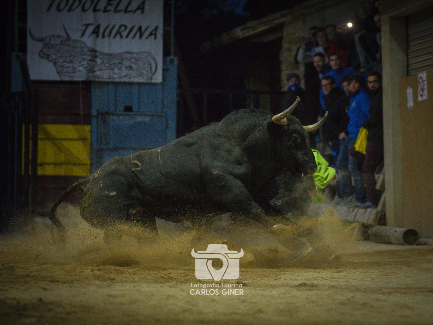 El toro de Antonio López Gibaja causó furor en la Todolella.