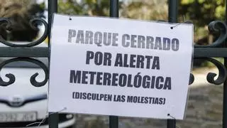 ¿En qué quedamos?