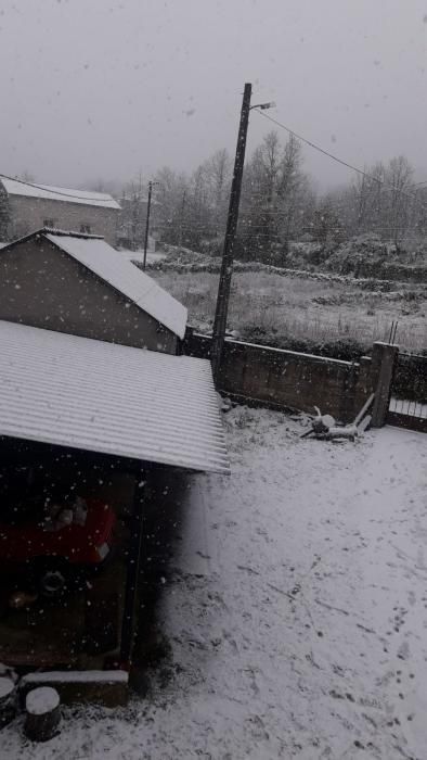 Nieve en Sanabria (enero 2019)