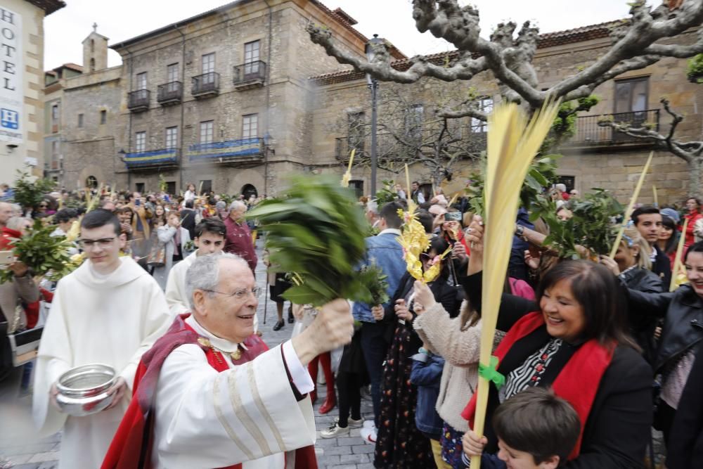 Procesión de la Borriquilla en Gijón