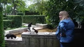 Un día con AGAR, la asociación que se ocupa de mantener la colonia felina del Parque del Retiro