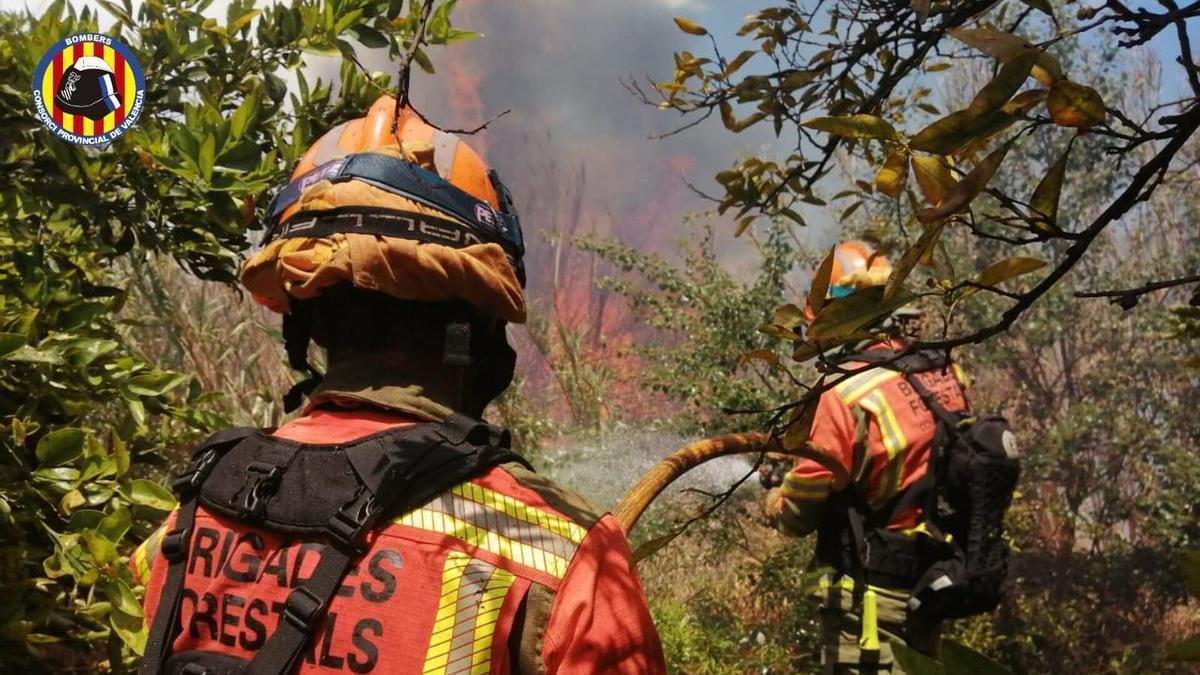 Los bomberos atacan el incendio declarado el sábado 11 de mayo en el cauce del Xúquer.