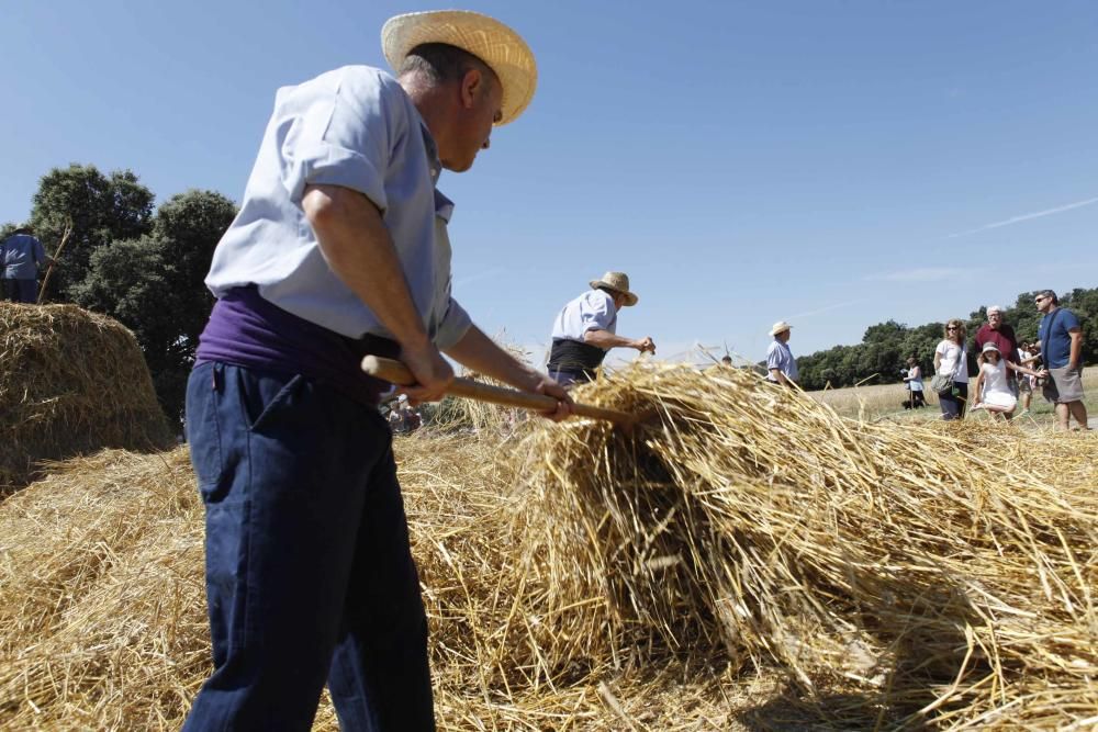 Festa del Segar i el Batre a Avià