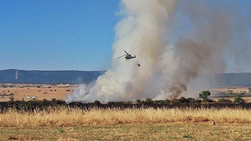 El fuego vuelve a calcinar el campo alistano en San Cristóbal