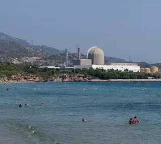 Les nuclears demanen de nou al Govern revisar els impostos al sector