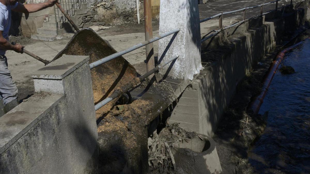 Un vecino trabaja en las labores de limpieza en Pradocabalos, Viana do Bolo