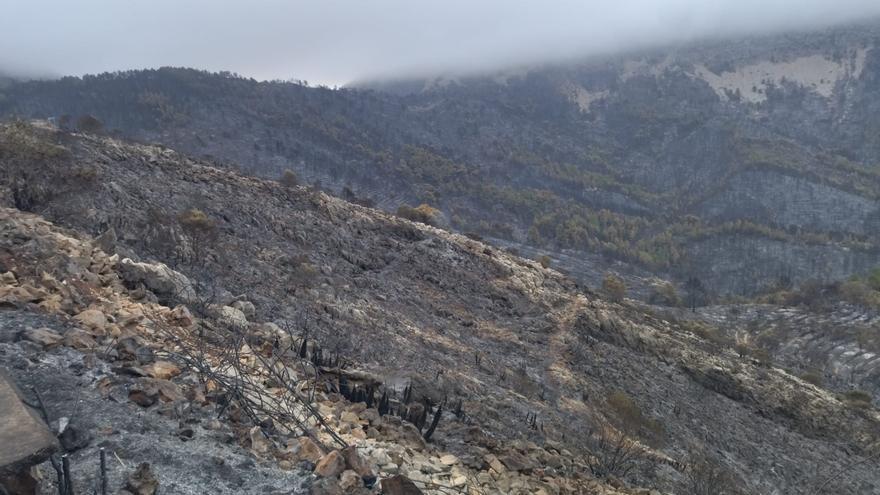 La UME abandona Tàrbena ante la evolución positiva del incendio que aún no está controlado