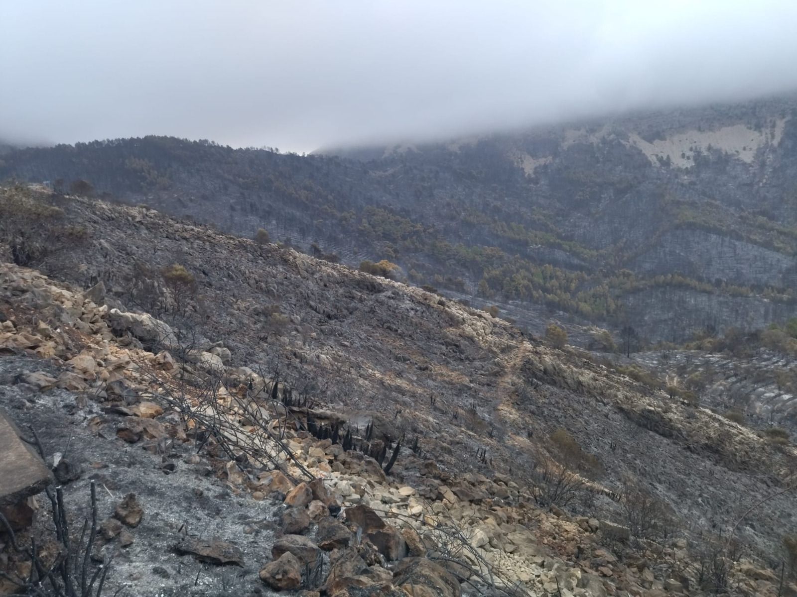 La destrucción del incendio de Tàrbena, en imágenes