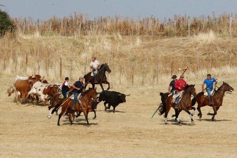 Fiestas en Zamora: Espantes en Fuentelapeña