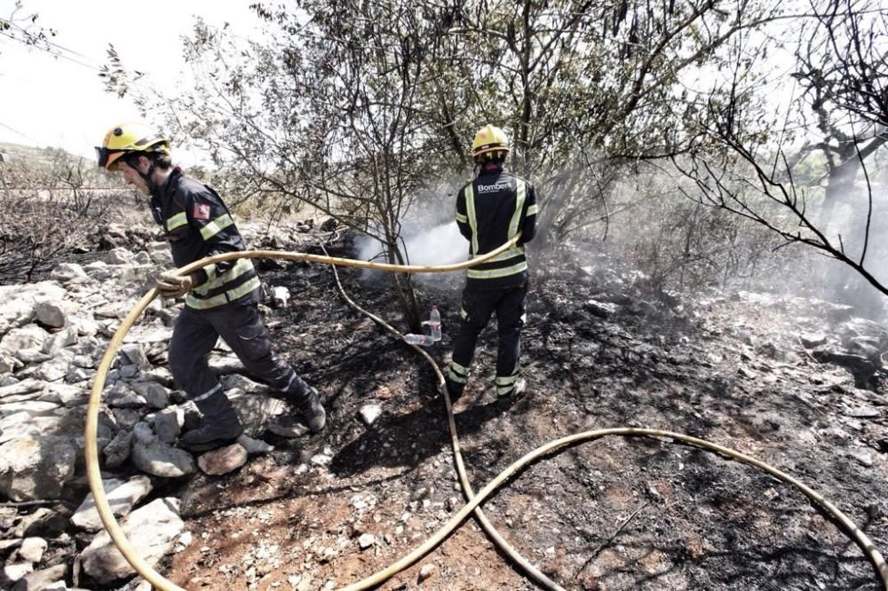 Estabilizado el fuego en el Pinaret de la Xara, en el límite de El Montgó