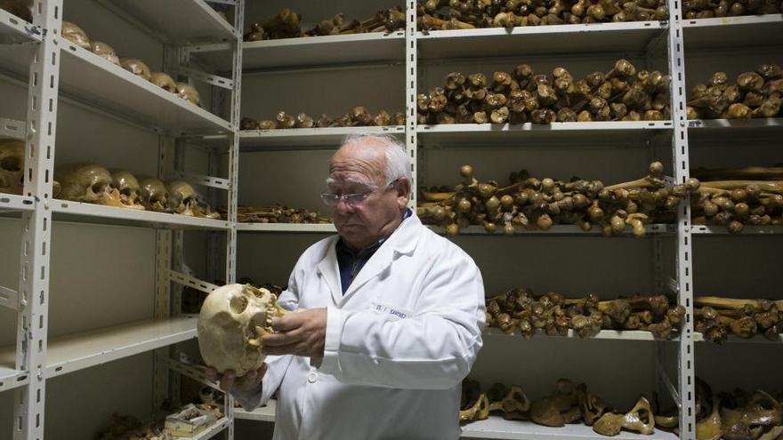 La osteoteca de la Facultad de Medicina de la UA guarda miles de piezas para que los alumnos estudien anatomía