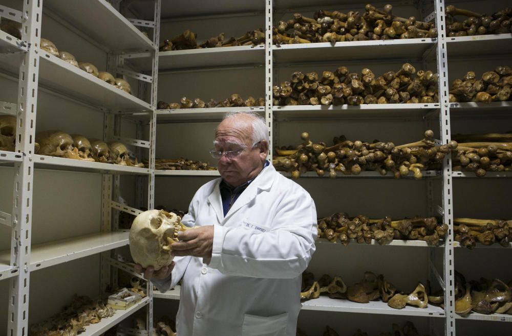 La osteoteca de la Facultad de Medicina de la UA guarda miles de piezas para que los alumnos estudien anatomía