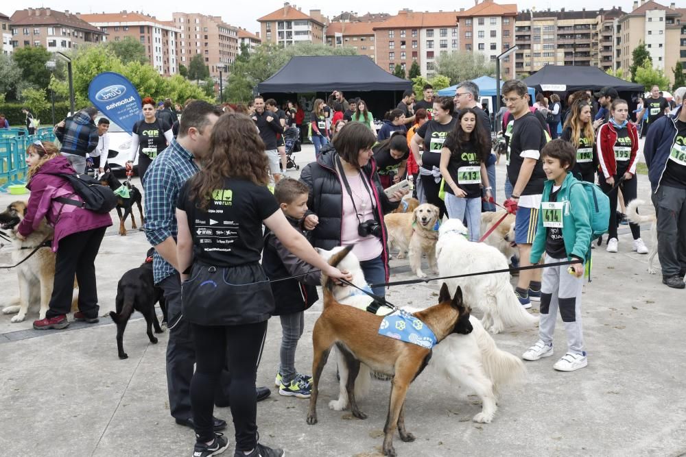 Todas las imágenes de la Can We Run en Gijón