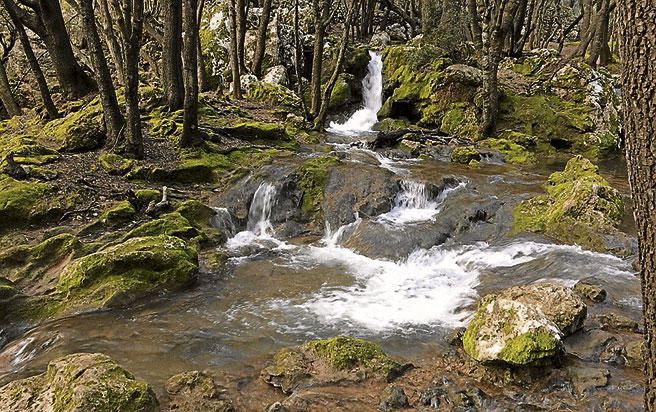 Wasser Mallorca Sturzbäche Flüsse