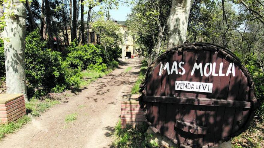 L’entrada a l’emblemàtic 
celler Mas Molla de Calonge.
aniol resclosa |