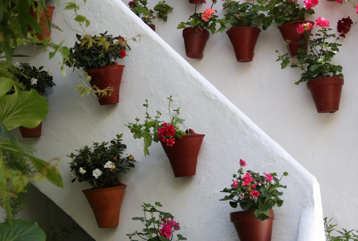 Paseando por los patios de la Judería