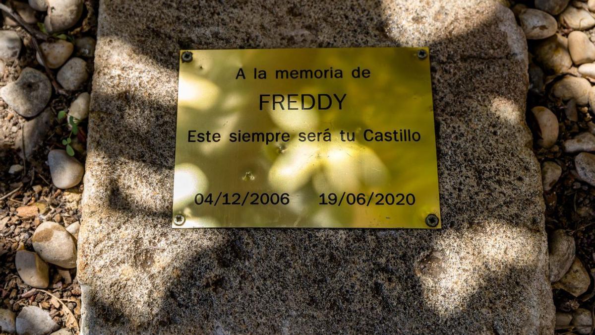 Placa bajo la cual están enterradas las cenizas de «Freddy».