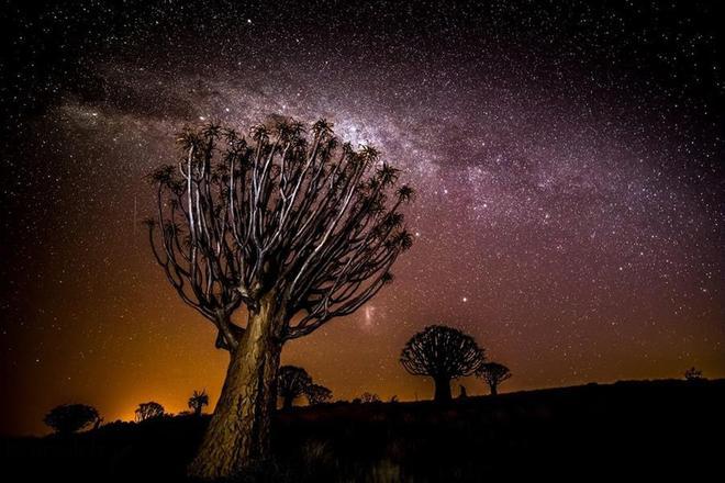 Parque Nacional de Tankwa Karoo