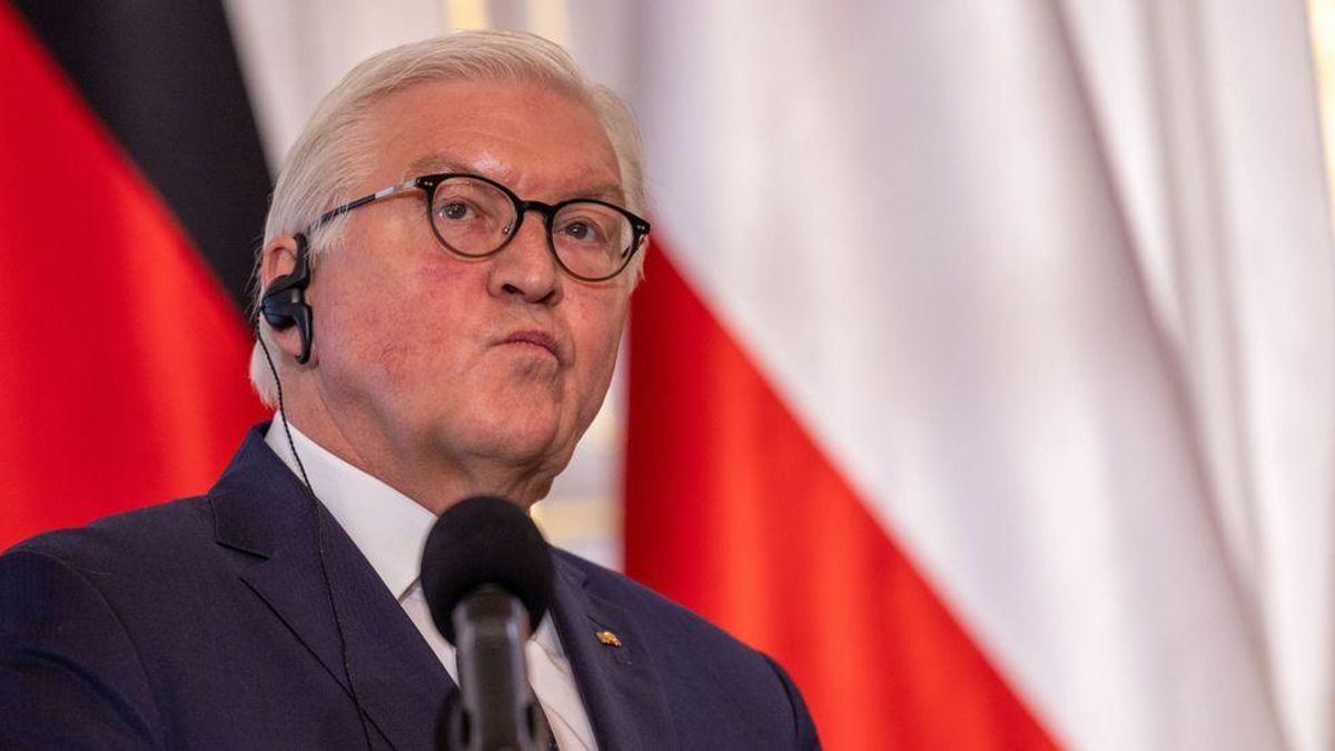 El presidente alemán, Frank-Walter Steinmeier.