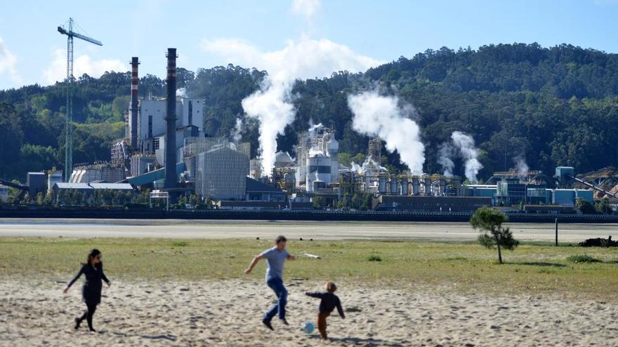 La fábrica de Ence sobre la ría. // G. Santos