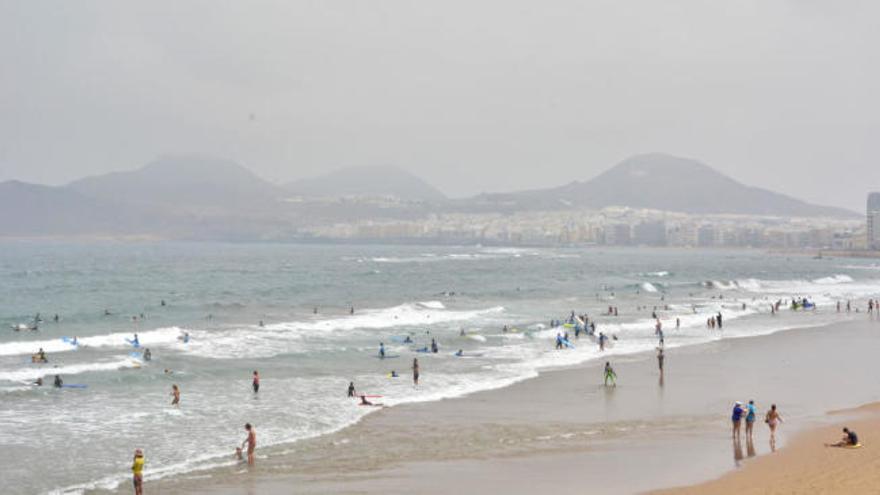 ¿Sabías...? La Cícer