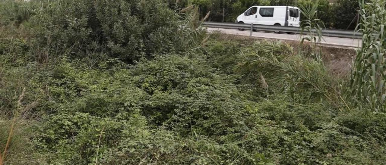 Vilella alerta del peligro de los barrancos llenos de maleza en época de lluvias