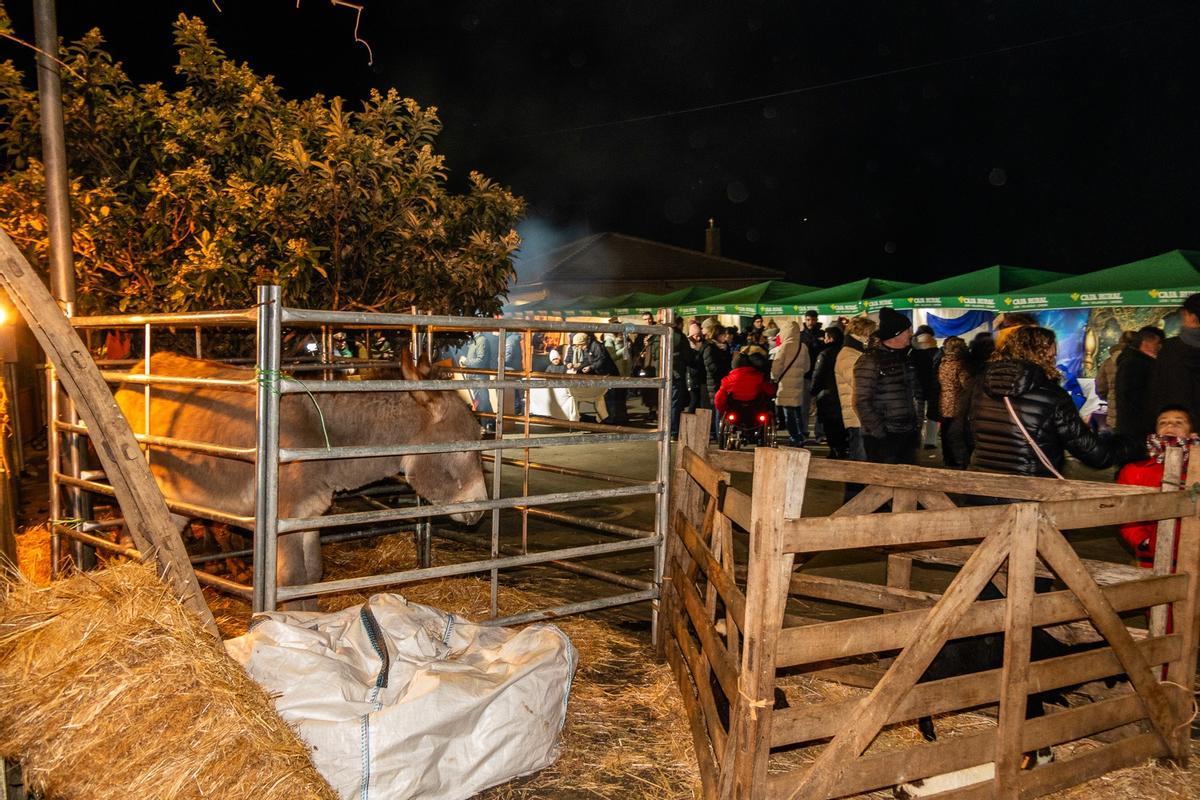 GALERÍA | Belén Viviente de Tábara 2025