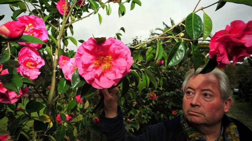 Pedro Piñeiro, junto al camelio que plantó a principios de la década pasada, y cuyas flores llevan el nombre de su padre. // Iñaki Abella