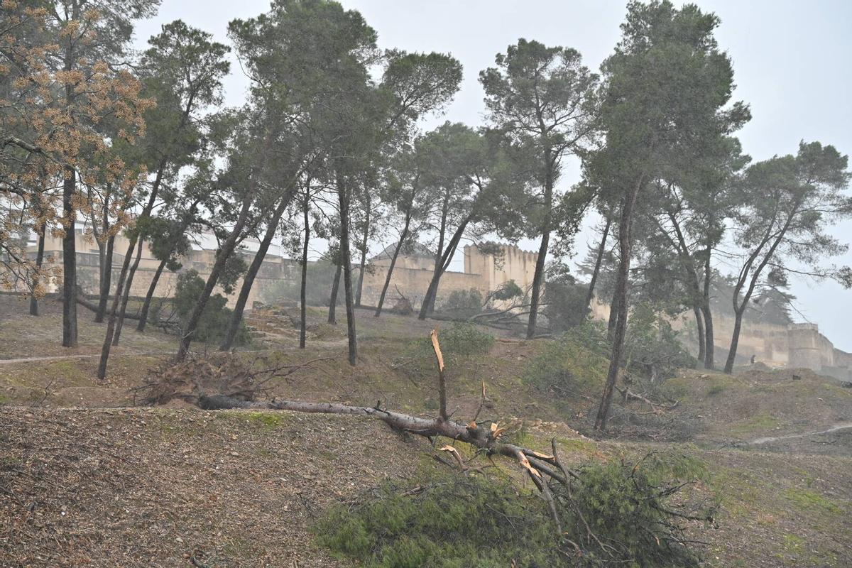 Fotogalería | Imágenes del temporal en Badajoz, este sábado