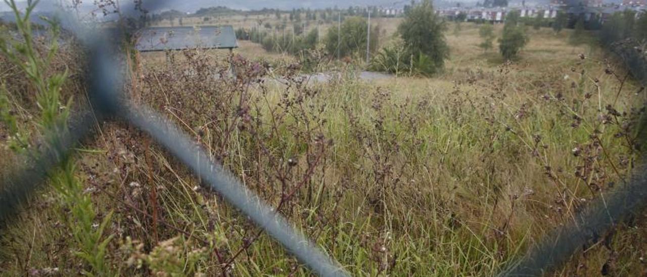 Una vista parcial del campo de golf de Los Balagares en una imagen tomada hace meses, con la instalación cerrada. | Mara Villamuza