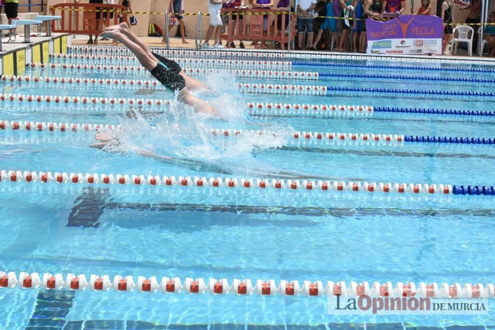 Final del Campeonato regional de natación.