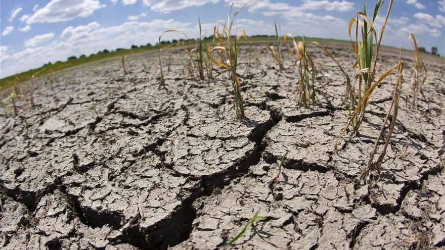 Asaja pide medidas para paliar la escasez de lluvias en el campo extremeño