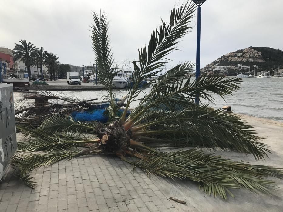 Der starke Wind, der seit Samstagfrüh (4.3.) auf Mallorca bläst, hat die ersten Schäden verursacht. Zwei Luxusyachten wurden im Hafen von Port d'Andratx durch den starken Wellengang gegen die Anleger der Mole gedrückt.