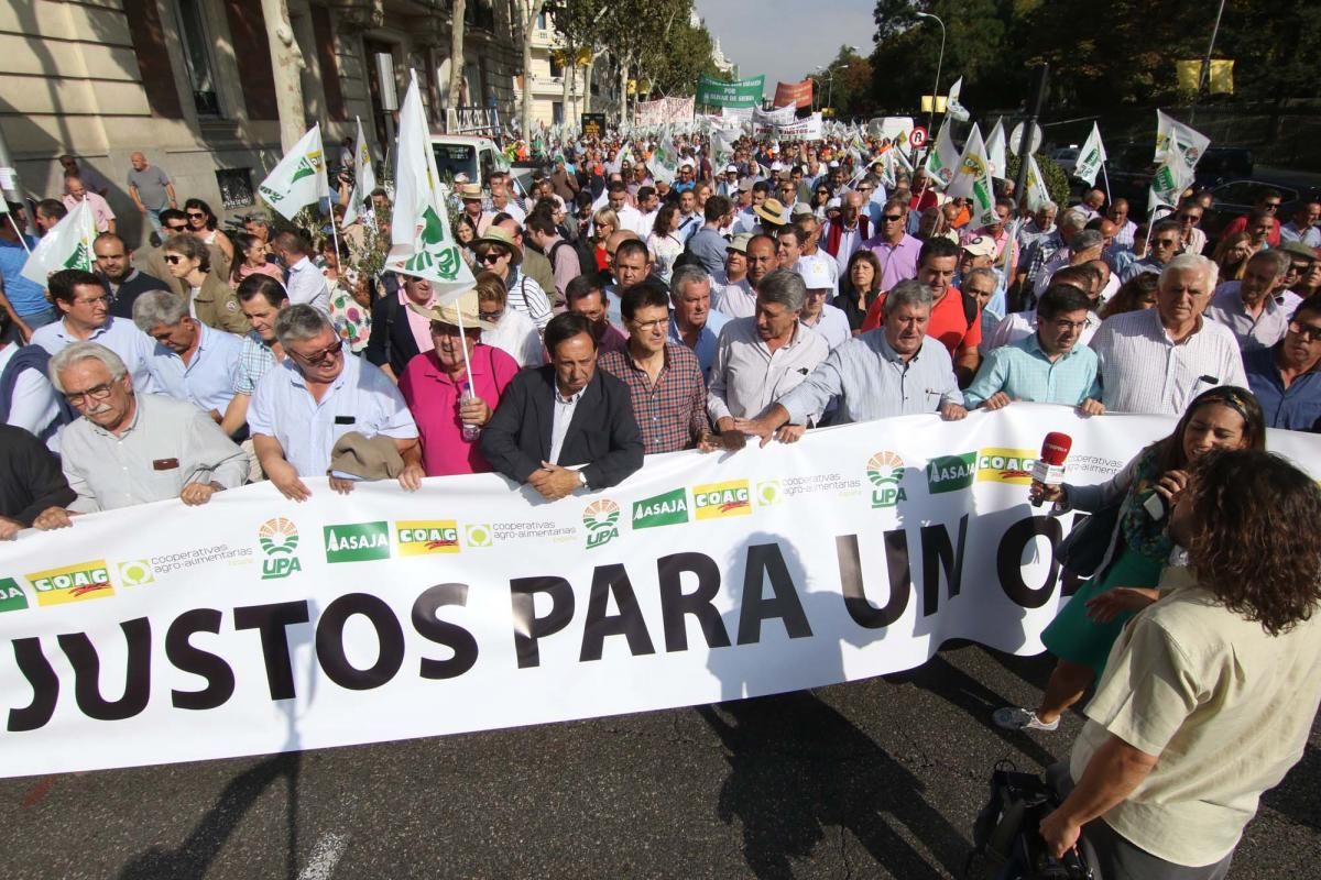 Córdoba se suma a la gran manifestación del olivar en Madrid