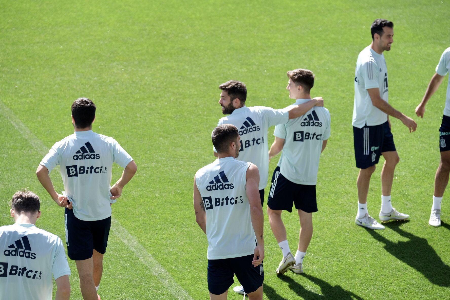 España se entrena en La Rosaleda para preparar el partido ante la República Checa