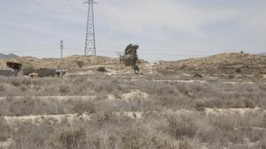 Este es el paraje donde se han encontrado los restos del torso calcinado