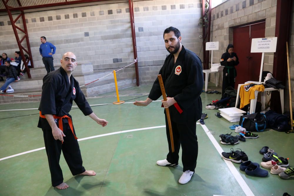 Campeonato regional de hapkido