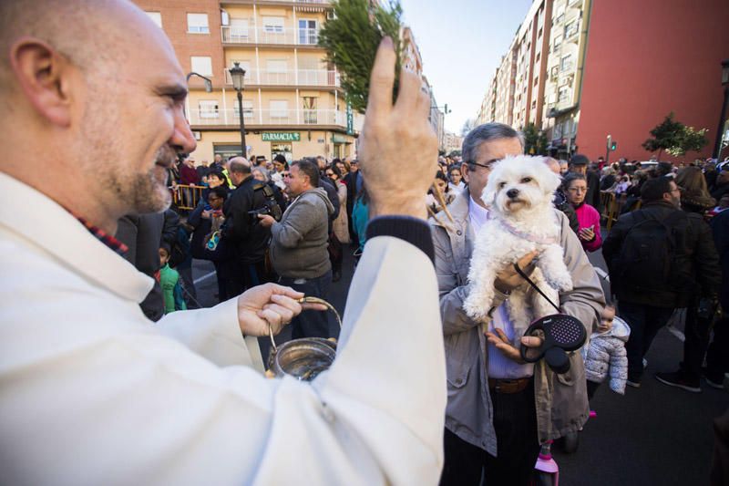 Bendición de animales por Sant Antoni del Porquet