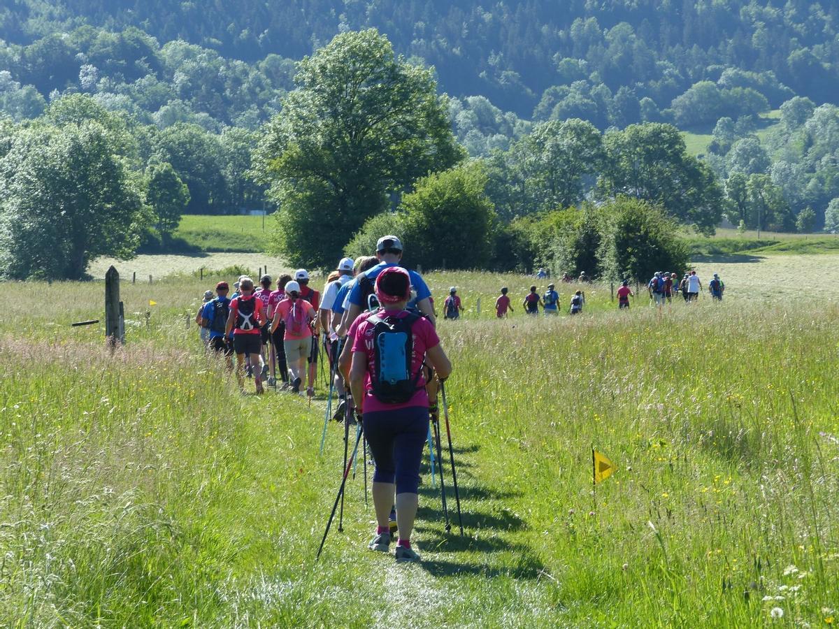 Un grupo de personas practica la marcha nórdica en la montaña.