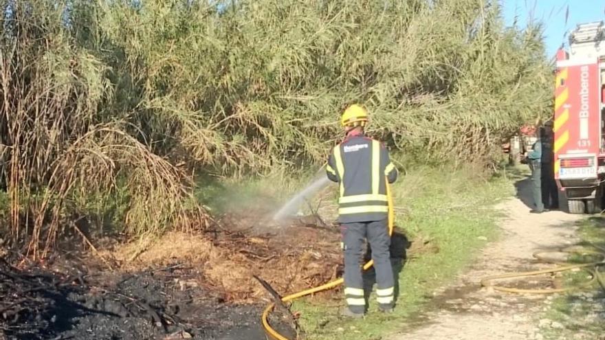 Los bomberos apagan un incendio en un cañar del río Girona en Sanet i Negrals