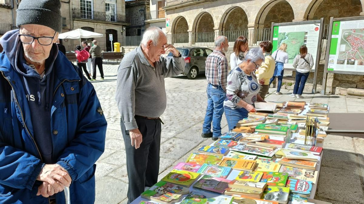 Puestos en el Día del Libro en Fermoselle