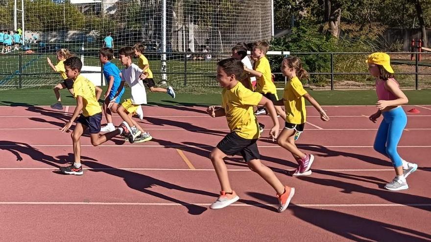 El color amarillo predomina en la pista de atletismo de Gandia