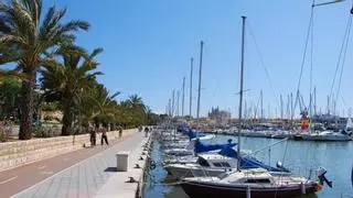 Un detenido por la muerte de una mujer que apareció en el mar en el Paseo Marítimo de Palma