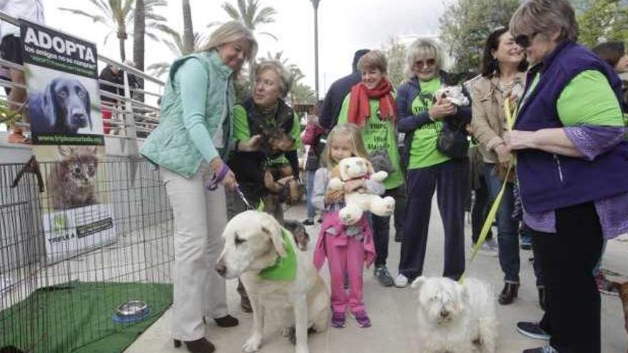 Paseo solidario en Marbella