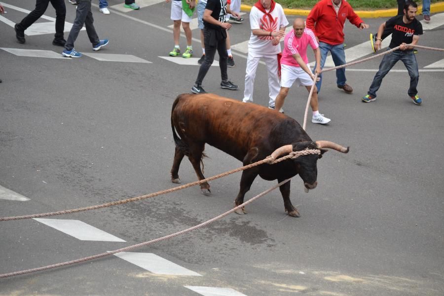 Enmaromado 2016: Lechugazo da la talla