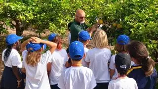 Las Palmas de Gran Canaria crea los campus 'Huertoaventuras de verano' en El Pambaso