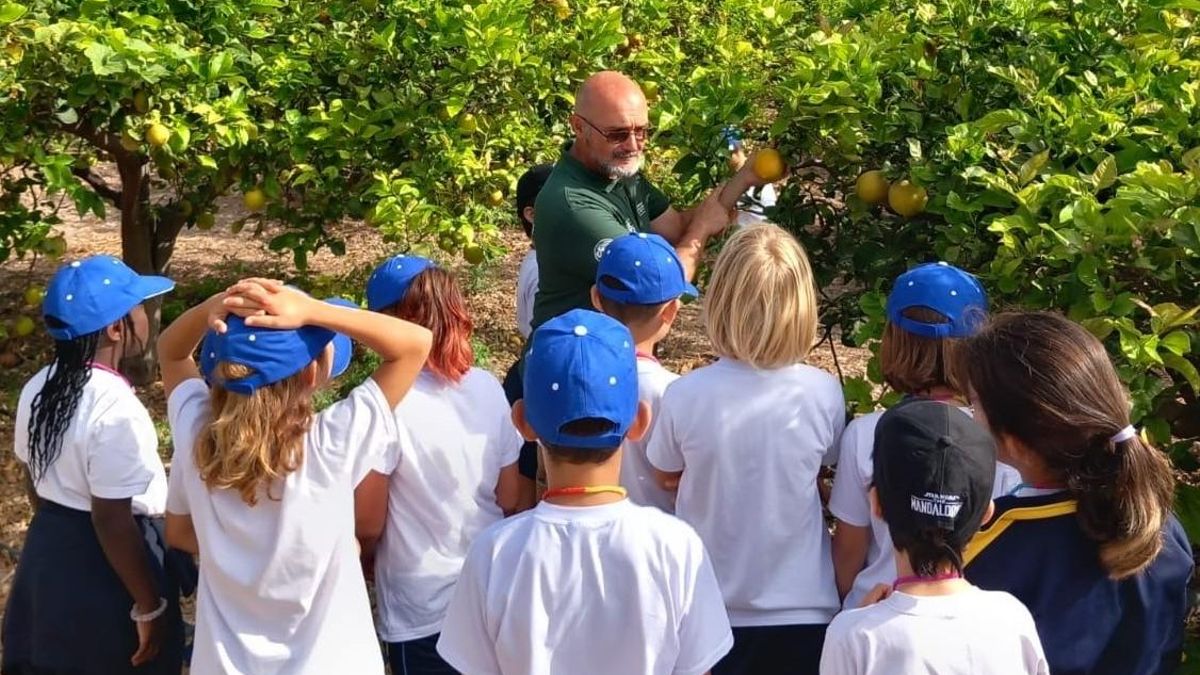El Ayuntamiento crea los campus ‘Huertoaventuras de verano’ en El Pambaso.